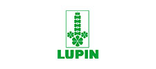 Lupin