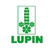 Lupin